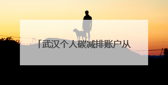 武汉个人碳减排账户从3万暴涨至160万